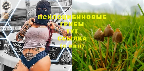 дурь Аркадак