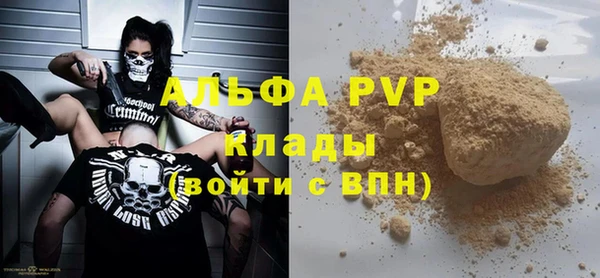 хмурый Арсеньев