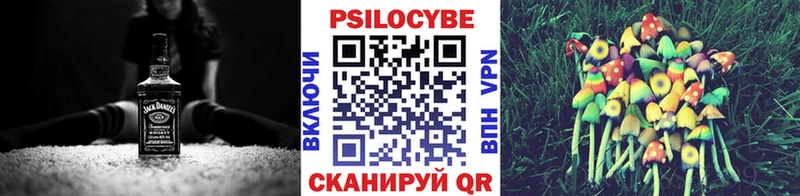 где найти наркотики  Чадан  Псилоцибиновые грибы мицелий 