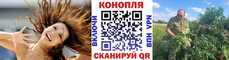 shop наркотические препараты  Чадан  Канабис марихуана  гидра онион 